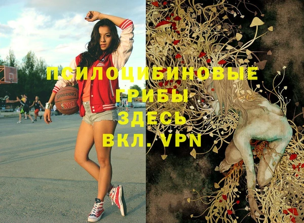 твердый Вязники