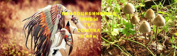 крисы Вяземский
