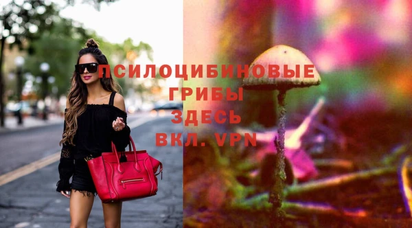 крисы Вяземский