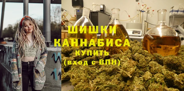 крисы Вяземский