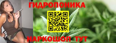 шишки Рязань