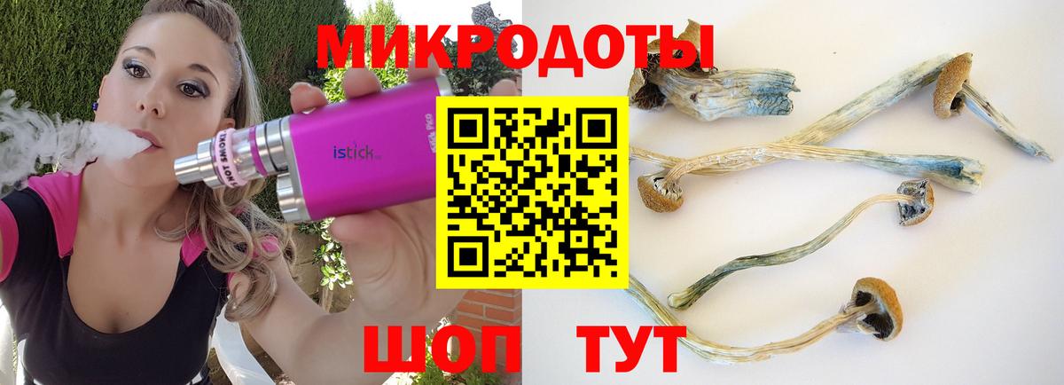 Усолье-Сибирское  Галлюциногенные грибы Psilocybine cubensis  Псилоцибиновые грибы прущие грибы  Вход с VPN 